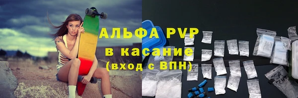 прущие грибы Аша
