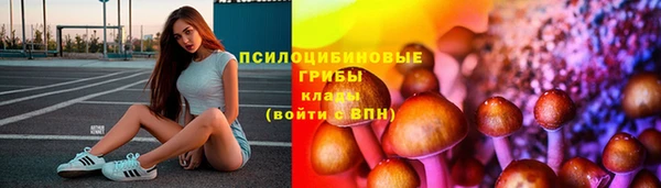 a pvp Арсеньев