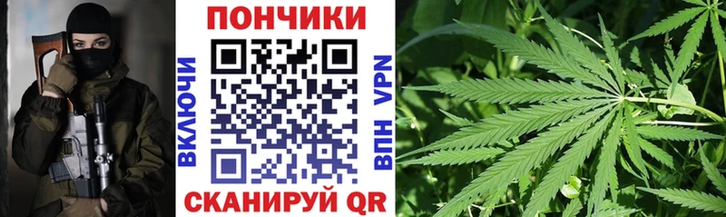 Бошки Шишки Amnesia  как найти   Буинск 